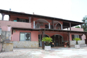 Piccolo Ulivo 2
